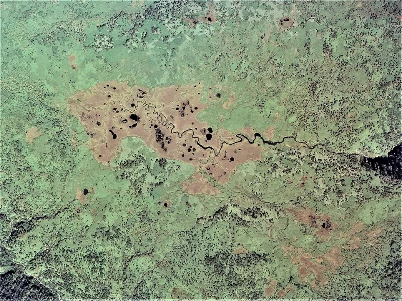 Drained Without a Record: The Millions of Wetland Acres America's Monitoring Systems Cannot See