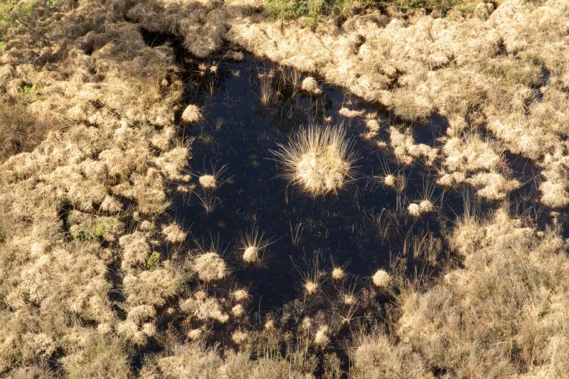 Measuring What Was Promised: A GIS-Based Reckoning With America's Ecosystem Restoration Claims