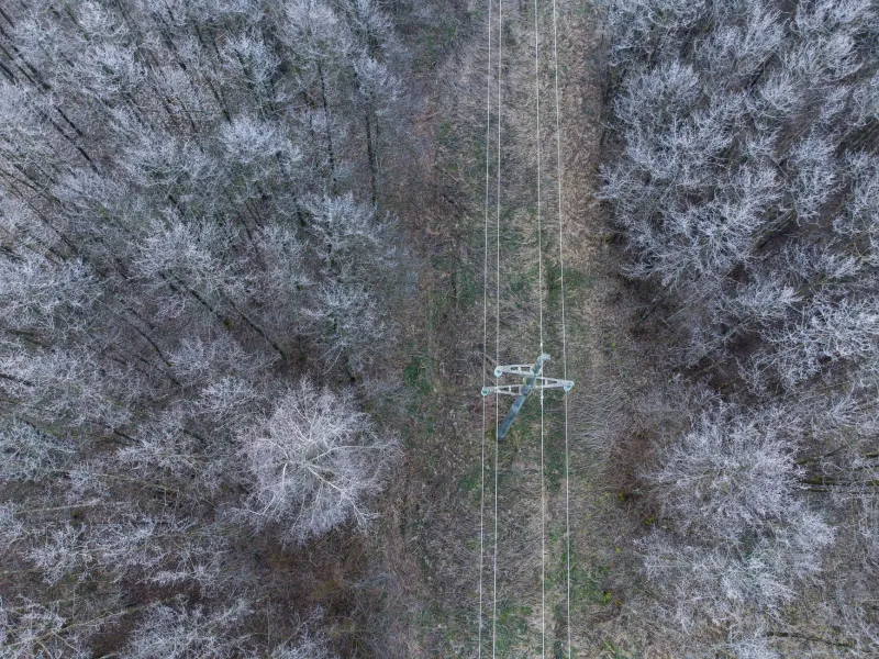 Wired for Disruption: The Quiet Fragmentation of America's Forests by Transmission Line Corridors